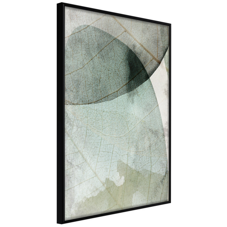 Wall Poster Spring Clouds - composition of light green leaves with visible texture 127476 additionalImage 6