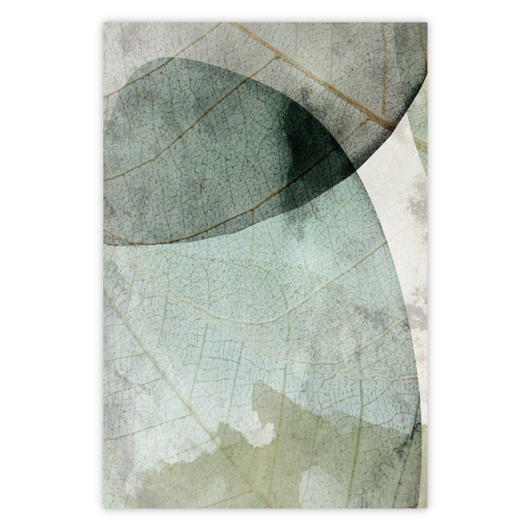 Wall Poster Spring Clouds - composition of light green leaves with visible texture 127476