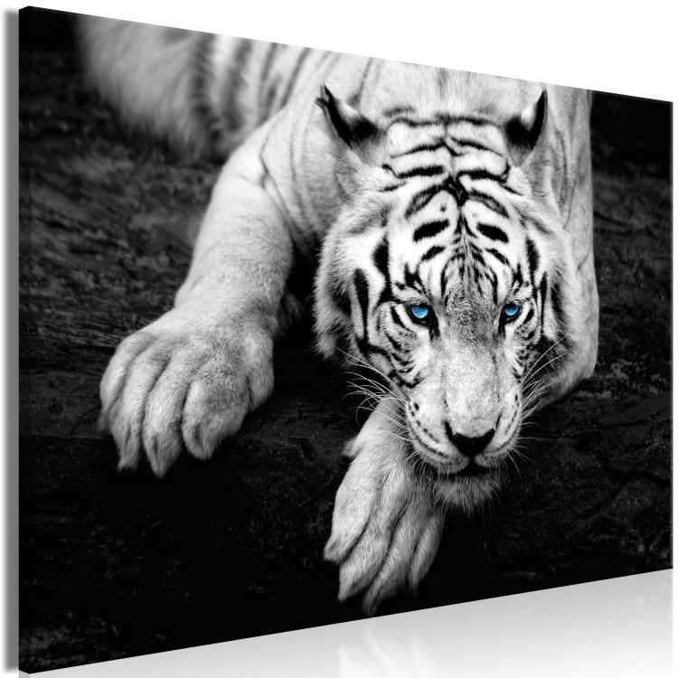 Canvas Menacing Look (1-part) wide - second variant - animals 128776 additionalImage 2