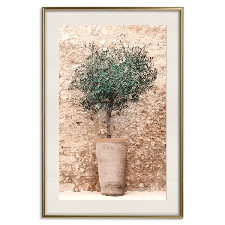 Poster Tuscan Green - summer composition with green plant in a pot 129476 additionalImage 20