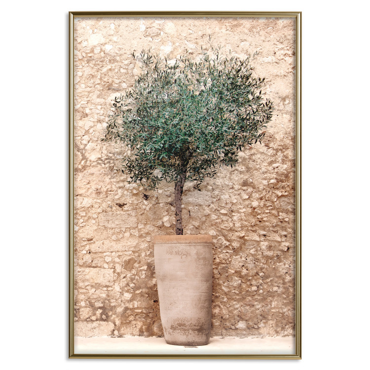 Poster Tuscan Green - summer composition with green plant in a pot 129476 additionalImage 21