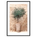 Poster Tuscan Green - summer composition with green plant in a pot 129476 additionalThumb 15