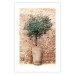 Poster Tuscan Green - summer composition with green plant in a pot 129476 additionalThumb 19
