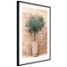 Poster Tuscan Green - summer composition with green plant in a pot 129476 additionalThumb 3