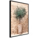 Poster Tuscan Green - summer composition with green plant in a pot 129476 additionalThumb 2