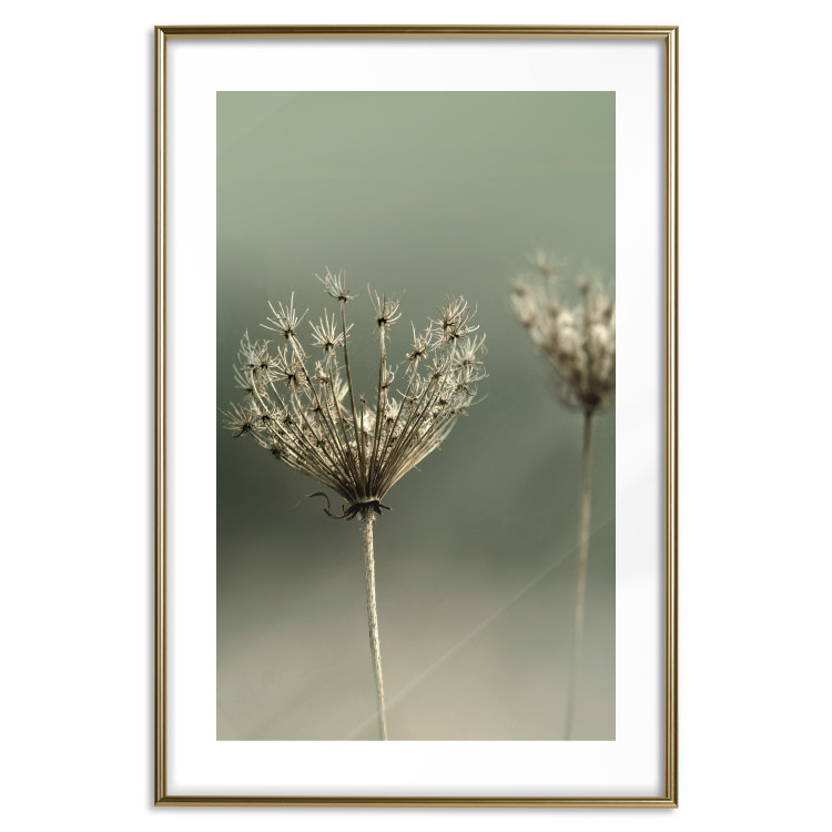 Wall Poster Longing for Summer Past - summer plant against a blurred green background 130276 additionalImage 18