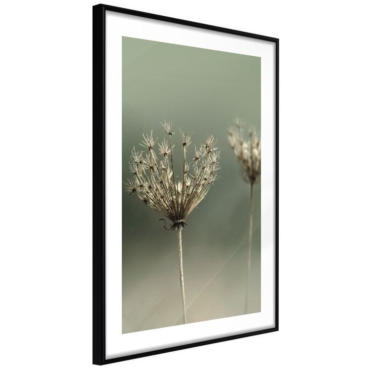 Wall Poster Longing for Summer Past - summer plant against a blurred green background 130276 additionalImage 6