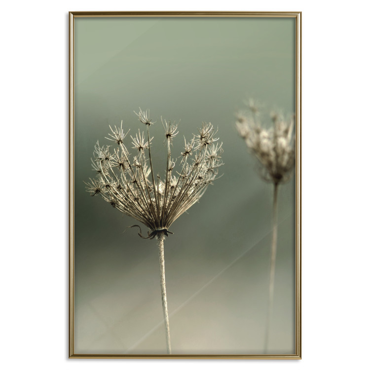 Wall Poster Longing for Summer Past - summer plant against a blurred green background 130276 additionalImage 15
