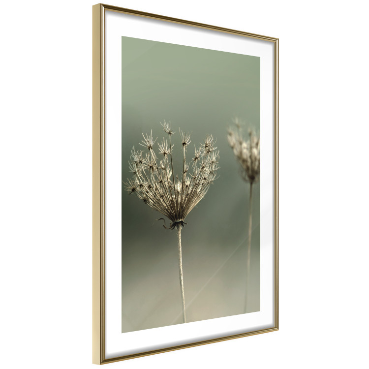 Wall Poster Longing for Summer Past - summer plant against a blurred green background 130276 additionalImage 7