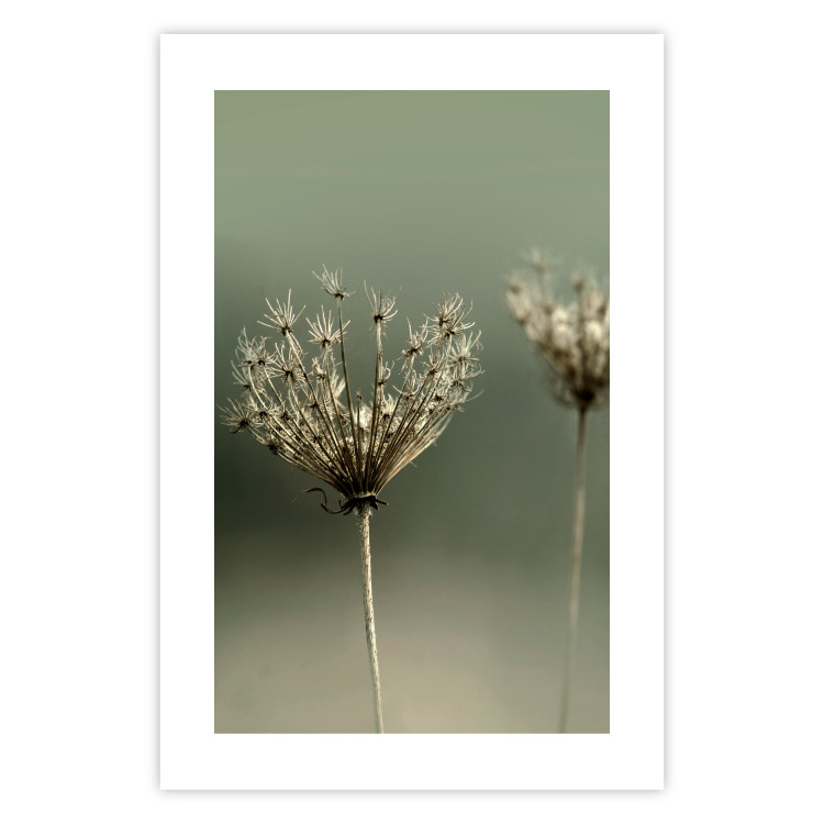 Wall Poster Longing for Summer Past - summer plant against a blurred green background 130276 additionalImage 16