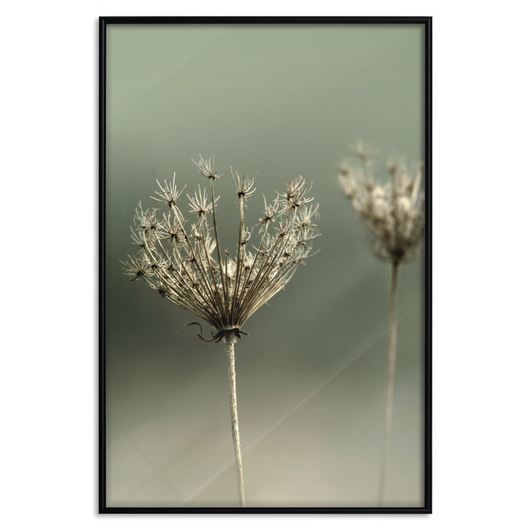 Wall Poster Longing for Summer Past - summer plant against a blurred green background 130276 additionalImage 14