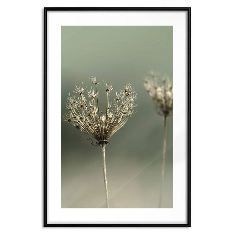 Wall Poster Longing for Summer Past - summer plant against a blurred green background 130276 additionalImage 17