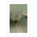 Wall Poster Longing for Summer Past - summer plant against a blurred green background 130276 additionalThumb 16