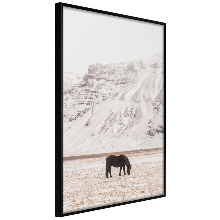 Poster Solitude in the Valley - landscape of a black animal against a mountain backdrop 130376 additionalImage 11