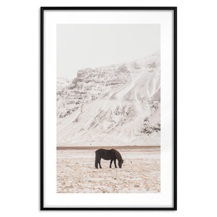 Poster Solitude in the Valley - landscape of a black animal against a mountain backdrop 130376 additionalImage 16
