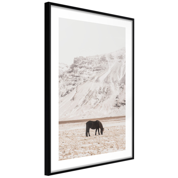 Poster Solitude in the Valley - landscape of a black animal against a mountain backdrop 130376 additionalImage 6