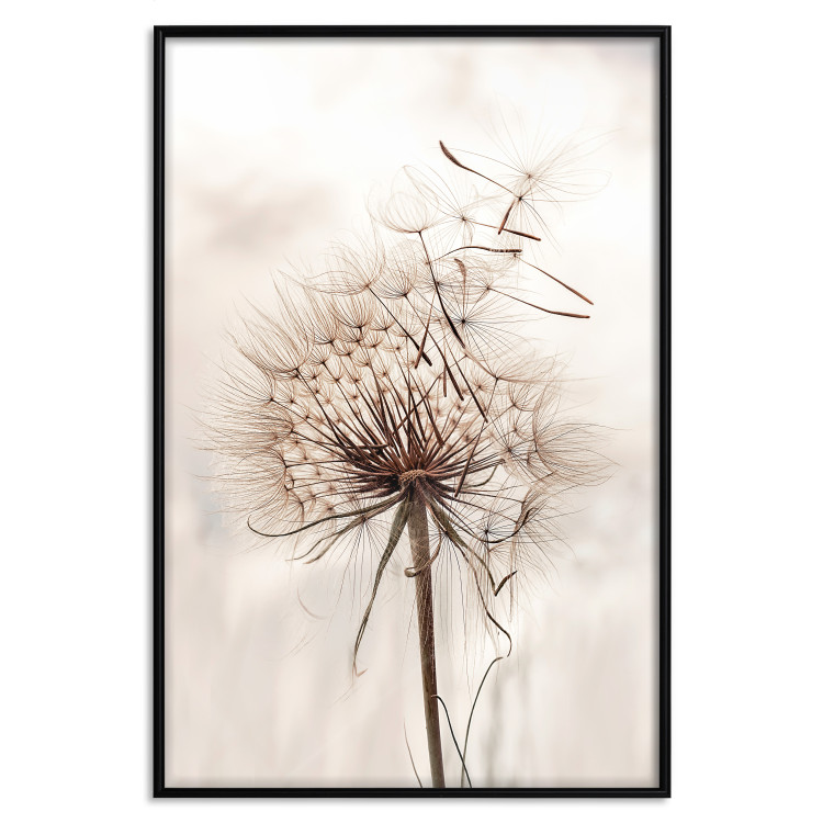 Wall Poster Magnetic Breeze - dandelion flower in the wind in sepia colors 131776 additionalImage 20