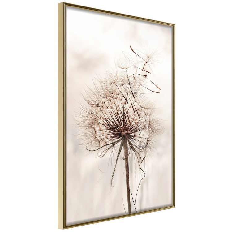 Wall Poster Magnetic Breeze - dandelion flower in the wind in sepia colors 131776 additionalImage 12