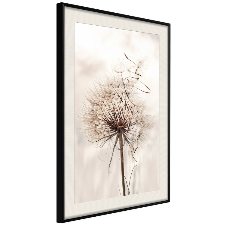 Wall Poster Magnetic Breeze - dandelion flower in the wind in sepia colors 131776 additionalImage 2