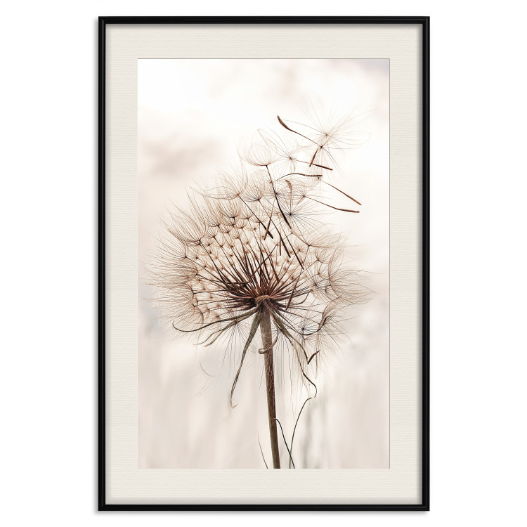 Wall Poster Magnetic Breeze - dandelion flower in the wind in sepia colors 131776 additionalImage 20