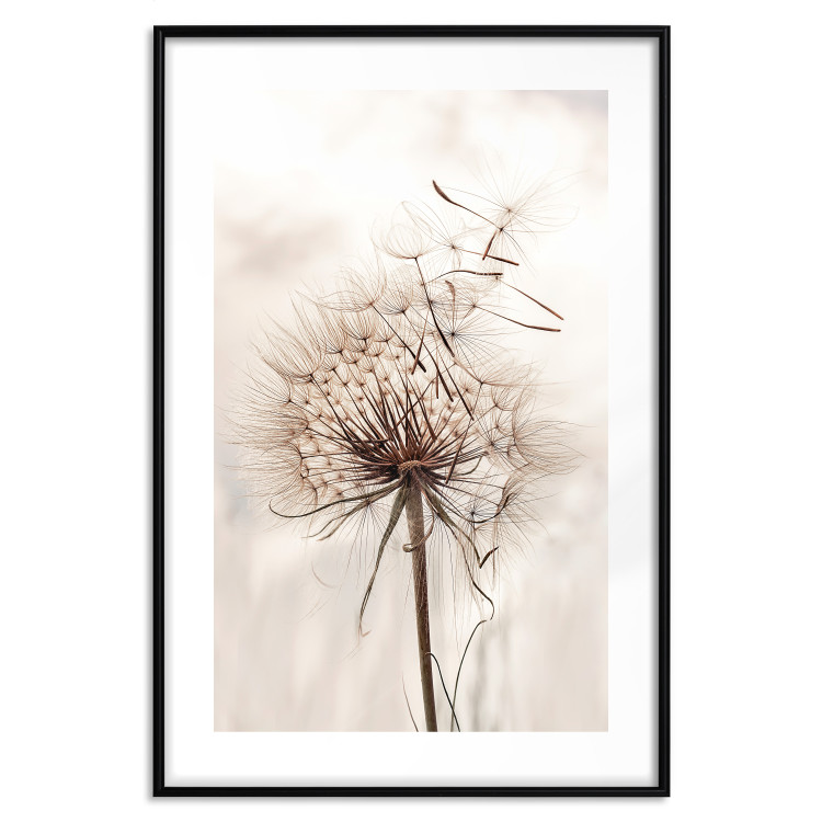 Wall Poster Magnetic Breeze - dandelion flower in the wind in sepia colors 131776 additionalImage 18