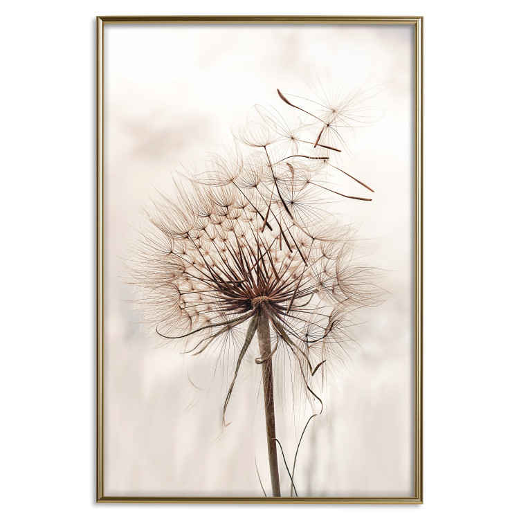 Wall Poster Magnetic Breeze - dandelion flower in the wind in sepia colors 131776 additionalImage 25