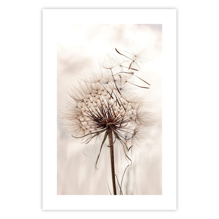 Wall Poster Magnetic Breeze - dandelion flower in the wind in sepia colors 131776 additionalImage 19