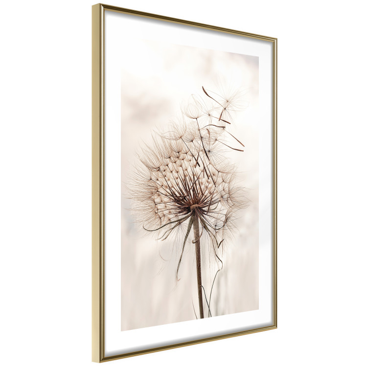 Wall Poster Magnetic Breeze - dandelion flower in the wind in sepia colors 131776 additionalImage 7