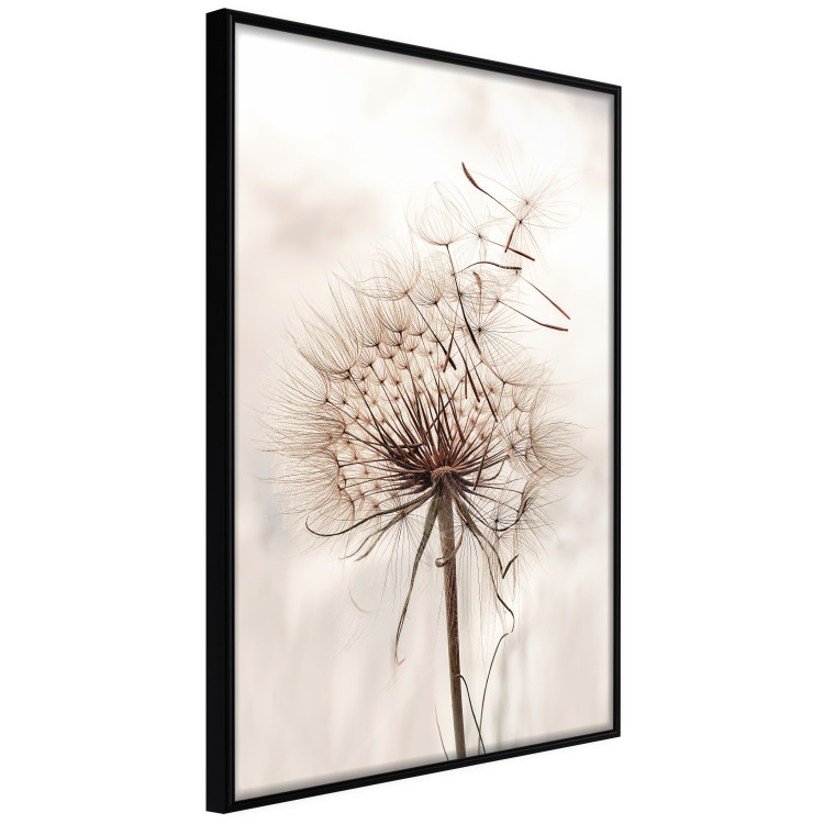 Wall Poster Magnetic Breeze - dandelion flower in the wind in sepia colors 131776 additionalImage 13