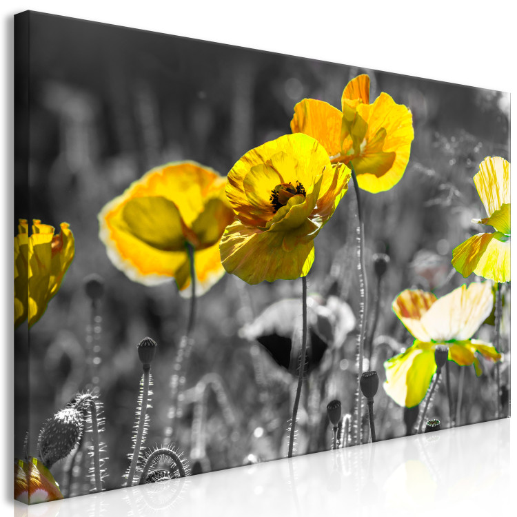 Large canvas print Yellow Poppies II [Large Format] 132376 additionalImage 3