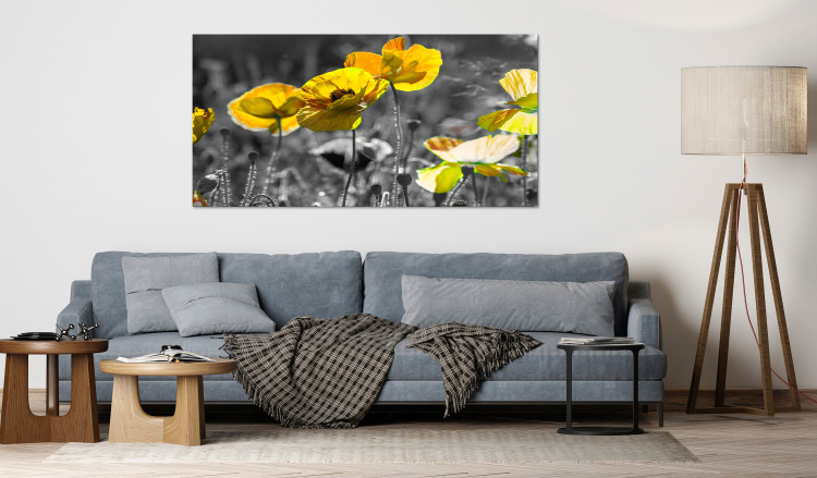 Large canvas print Yellow Poppies II [Large Format] 132376 additionalImage 6