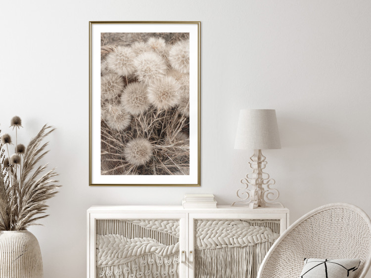 Wall Poster Gentle Cluster - composition with fluffy dandelions in sepia tone 137276 additionalImage 15