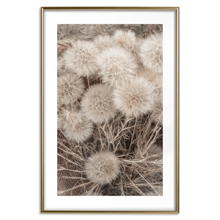 Wall Poster Gentle Cluster - composition with fluffy dandelions in sepia tone 137276 additionalImage 9