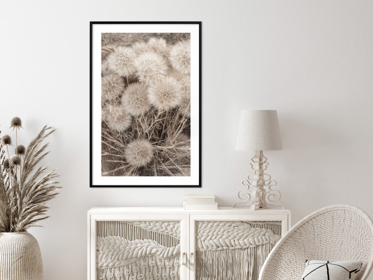 Wall Poster Gentle Cluster - composition with fluffy dandelions in sepia tone 137276 additionalImage 16