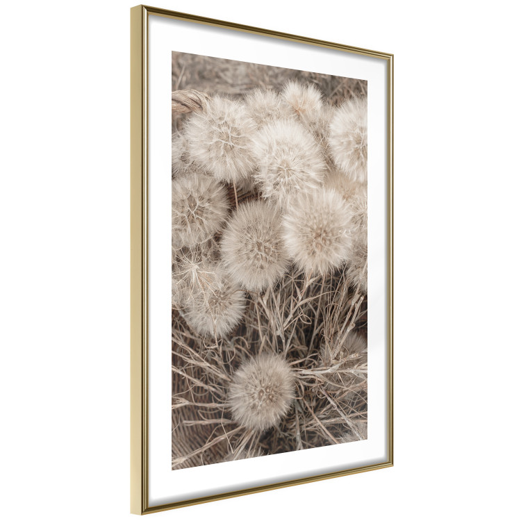 Wall Poster Gentle Cluster - composition with fluffy dandelions in sepia tone 137276 additionalImage 3