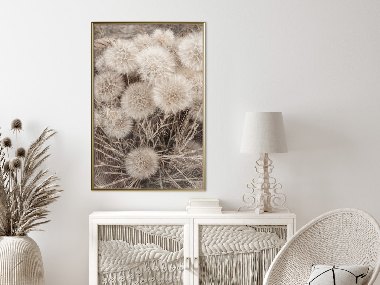 Wall Poster Gentle Cluster - composition with fluffy dandelions in sepia tone 137276 additionalImage 17