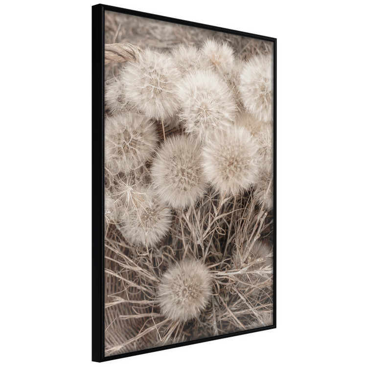 Wall Poster Gentle Cluster - composition with fluffy dandelions in sepia tone 137276 additionalImage 6
