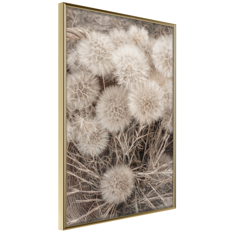 Wall Poster Gentle Cluster - composition with fluffy dandelions in sepia tone 137276 additionalImage 4