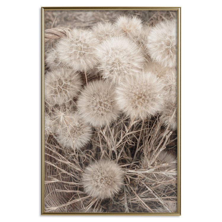 Wall Poster Gentle Cluster - composition with fluffy dandelions in sepia tone 137276 additionalImage 11