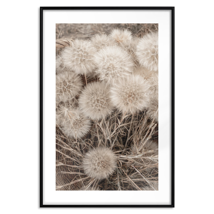 Wall Poster Gentle Cluster - composition with fluffy dandelions in sepia tone 137276 additionalImage 10
