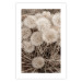 Wall Poster Gentle Cluster - composition with fluffy dandelions in sepia tone 137276 additionalThumb 12