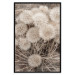 Wall Poster Gentle Cluster - composition with fluffy dandelions in sepia tone 137276 additionalThumb 13