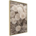Wall Poster Gentle Cluster - composition with fluffy dandelions in sepia tone 137276 additionalThumb 4