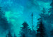 Canvas Art Print Magical Mist (1-piece) - second variant - forest landscape at night 142976 additionalThumb 5