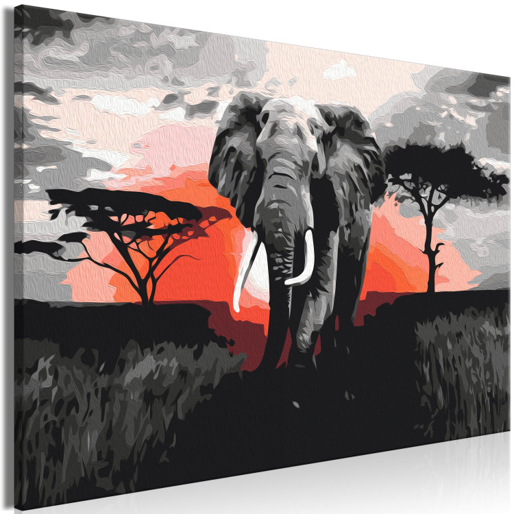 Paint by number Elephant on Savannah - African Landscape at Sunset 148876 additionalImage 6