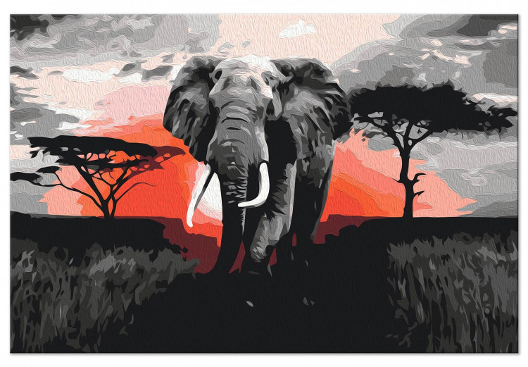 Paint by number Elephant on Savannah - African Landscape at Sunset 148876 additionalImage 4