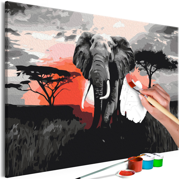 Paint by number Elephant on Savannah - African Landscape at Sunset 148876 additionalImage 5