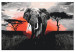 Paint by number Elephant on Savannah - African Landscape at Sunset 148876 additionalThumb 4