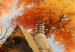 Large canvas print A Small Medieval Town - A Picture of the Polish Countryside During Autumn [Large Format] 151576 additionalThumb 5