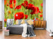 Wall Mural Poppies in the Grain - Close-up of Red Flowers on a Blurred Meadow Background 60376